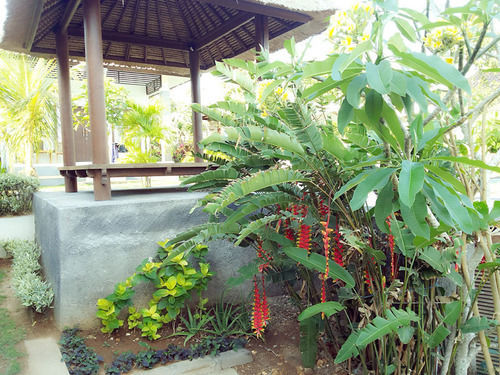 Guest house Bingin Family 4*