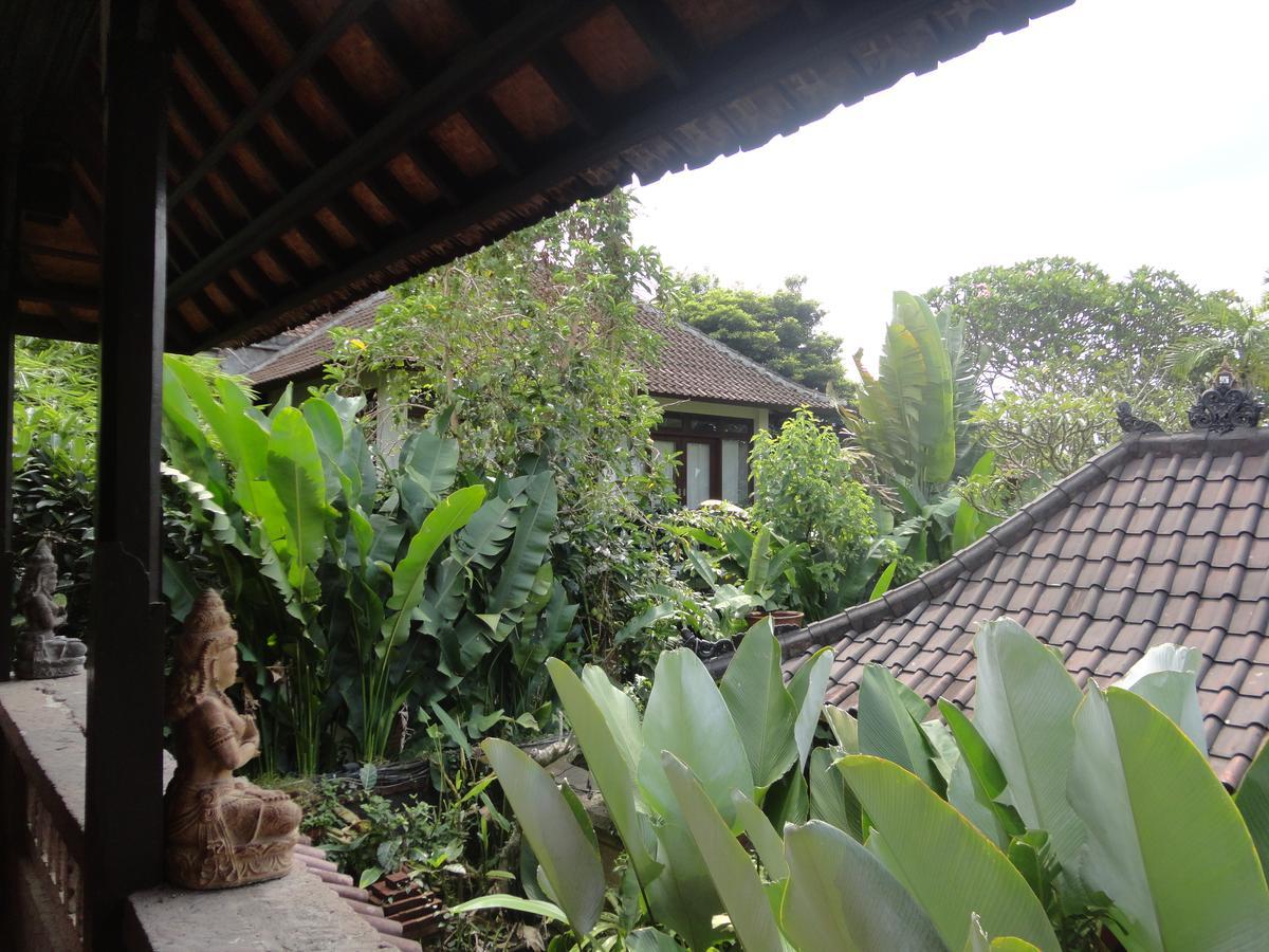 Guest house Fibra