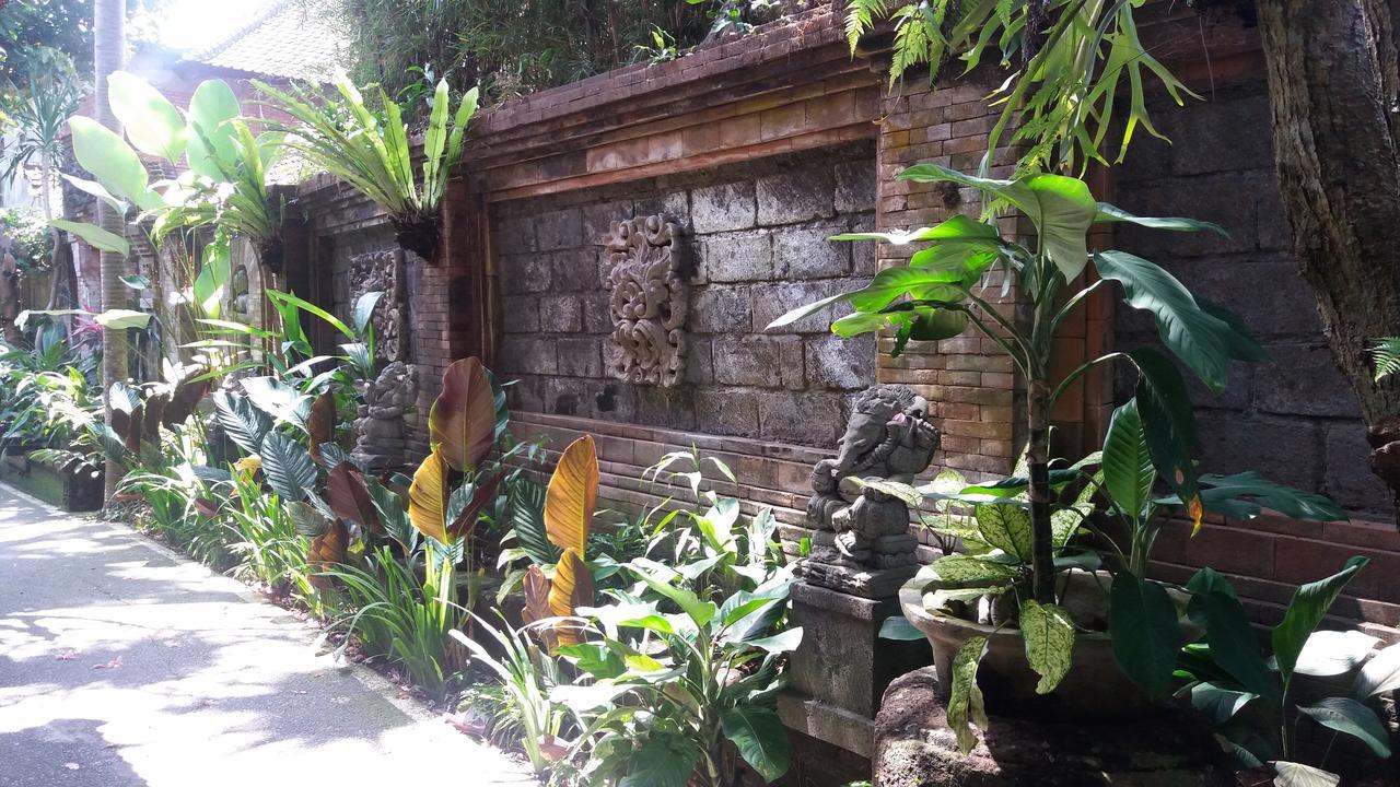 Guest house Fibra 3*
