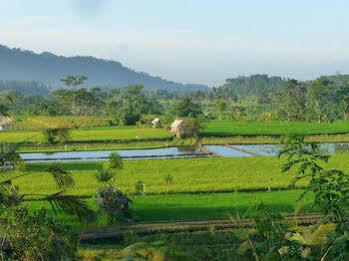Guest house Surya Shanti