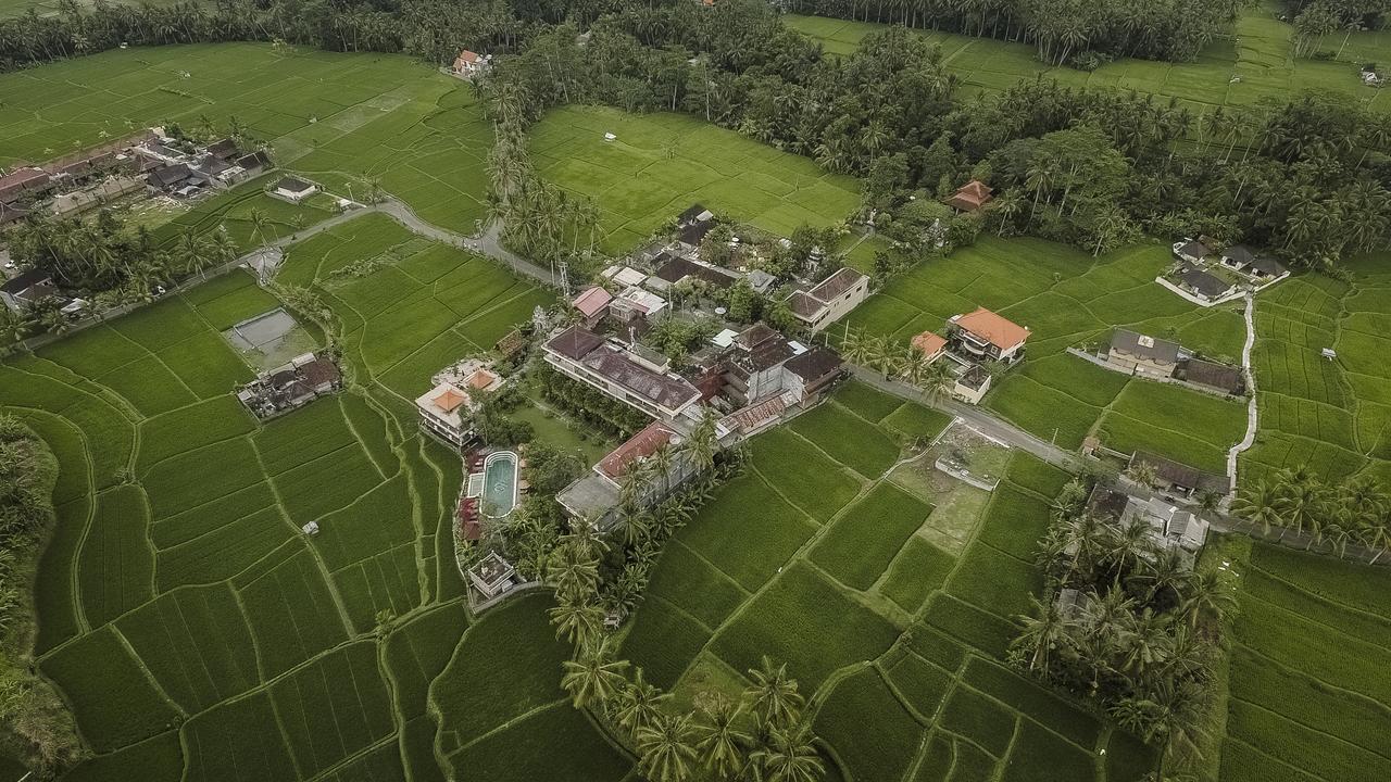 Om Ham Retreat And Ubud (Bali)