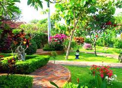 Zen Bali