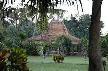 Holiday park Pitaya Balian