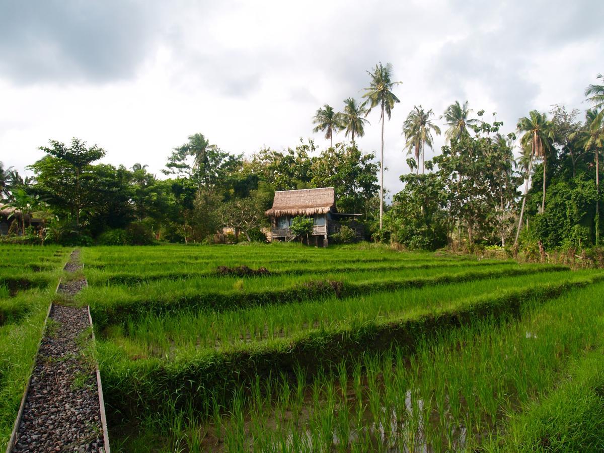 Matekap Selemadeg (Bali)