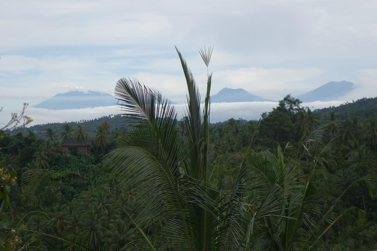 Jembrana 4* Negara (Bali)