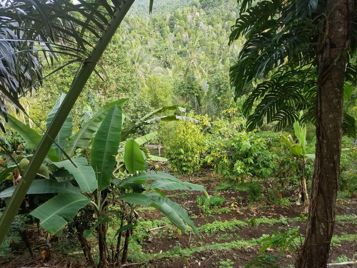 Jembrana Resort