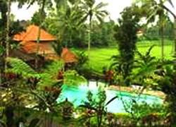 Cempaka Belimbing Taman liburan 4*