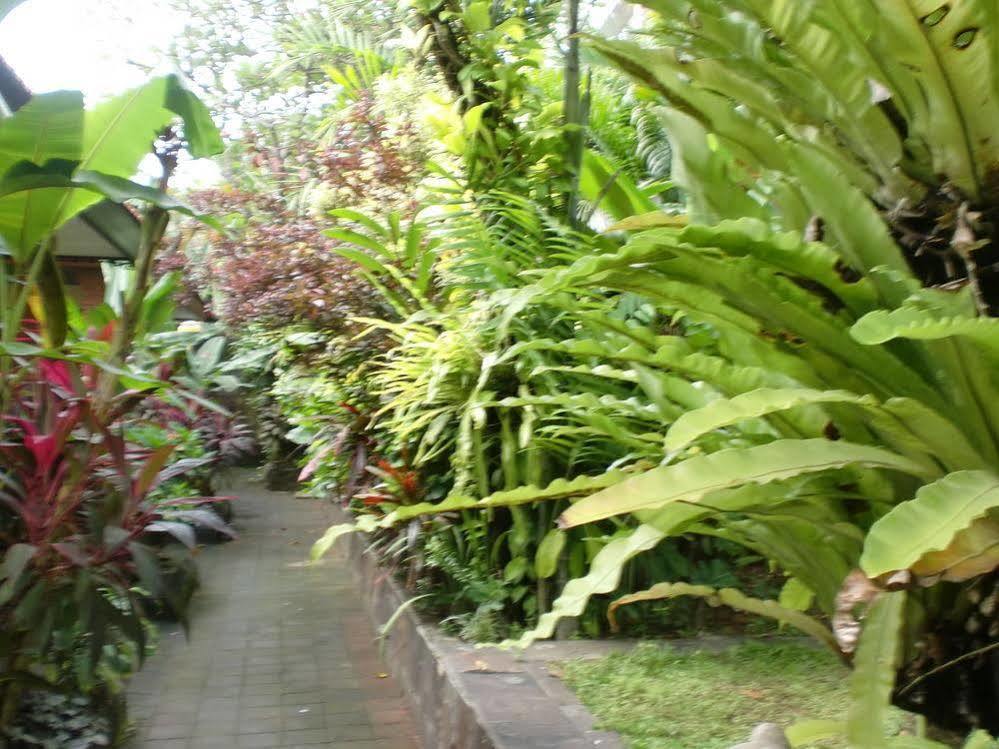 Pelasa 3* Legian (Bali)
