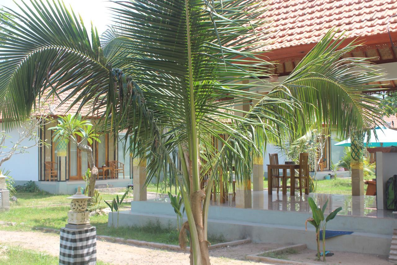 Wani Bali 2*