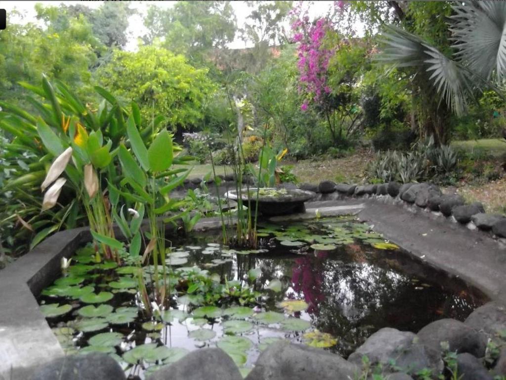Guest house Udayana Kingfisher Eco 2*