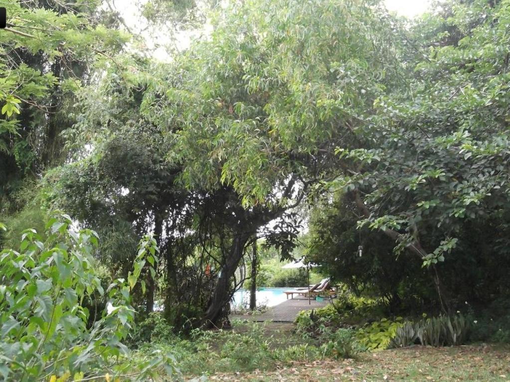 Udayana Kingfisher Eco Guest house Jimbaran (Bali)