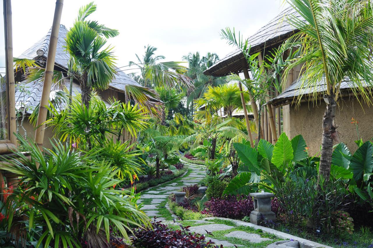 Padi Bali Eco 3* Payangan