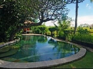 Tandeg * Canggu (Bali)