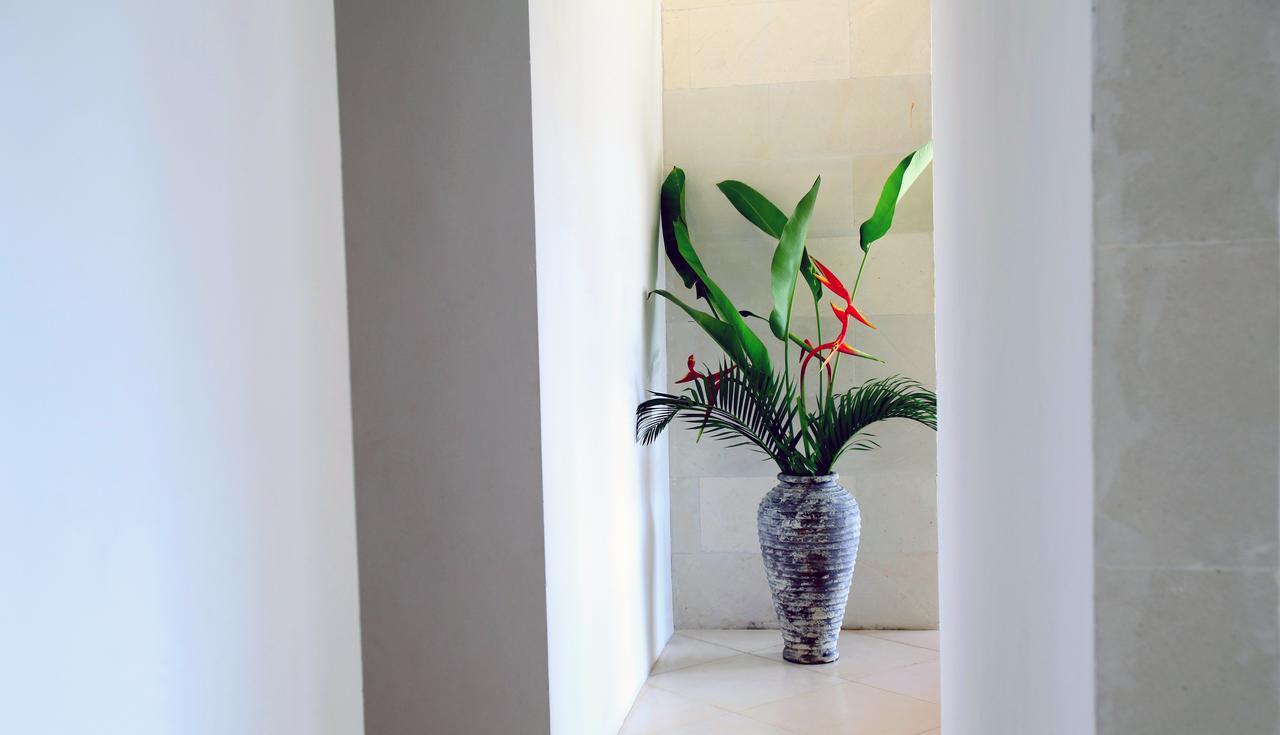 Jeda Modern Stylish Luxury * Pemuteran (Bali)
