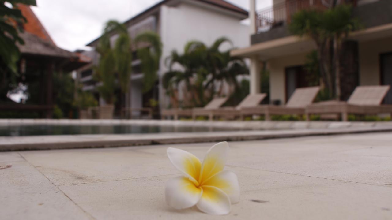 Jonsen Guest house