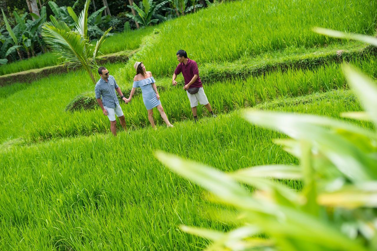 Adiwana Dara Ayu Resort