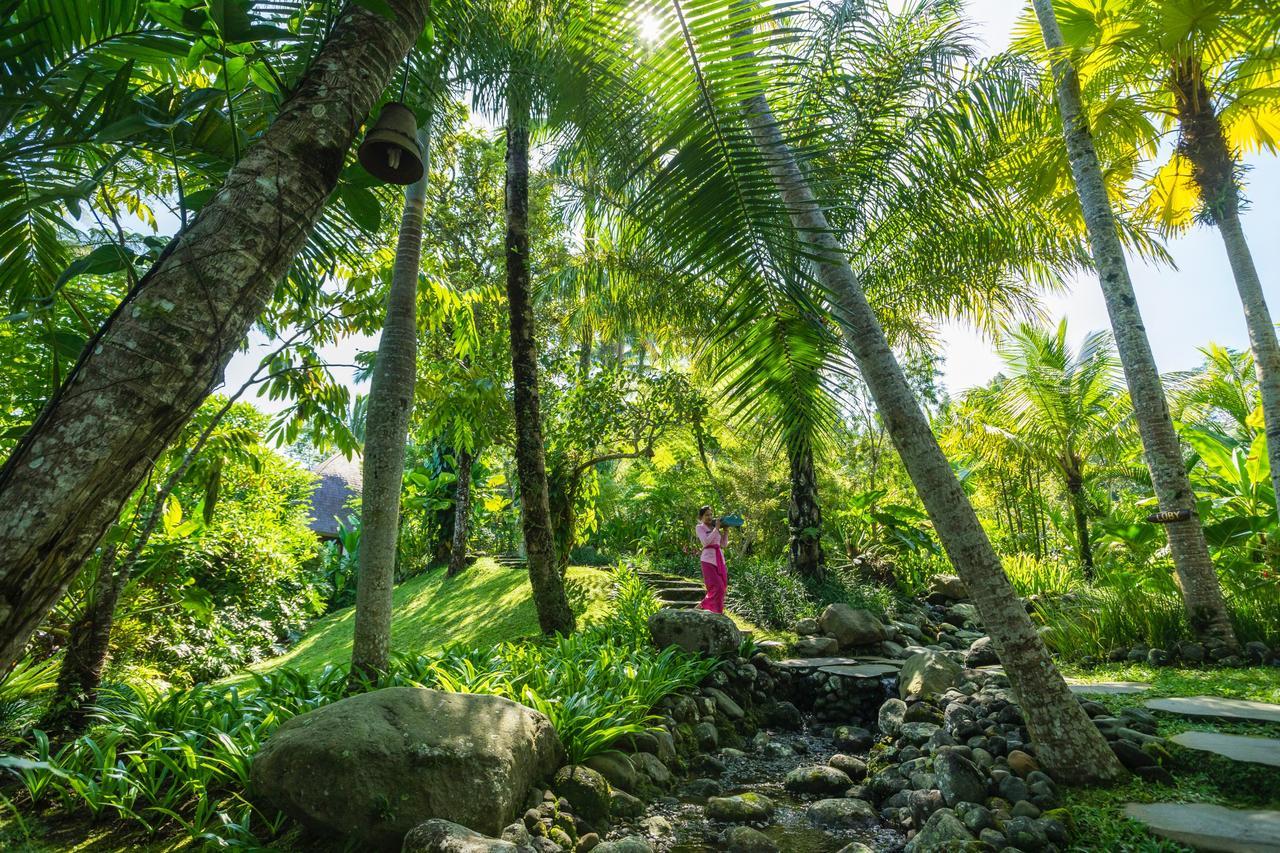 Resort Adiwana Dara Ayu Pacung