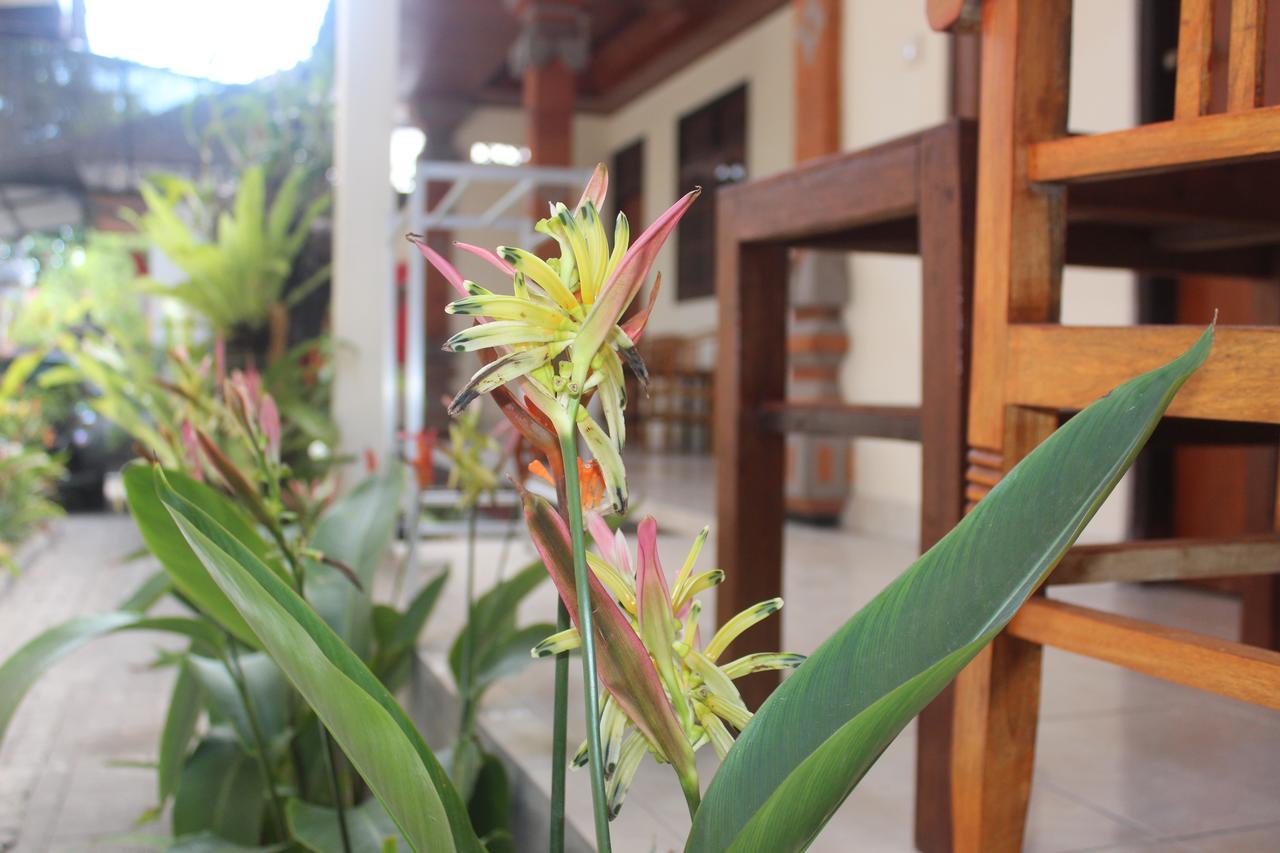 Js Guest house Seminyak (Bali)