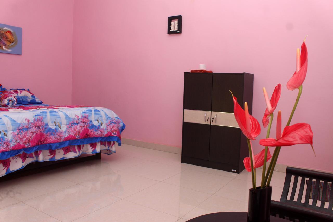 Memes House Backpacker Bed & Breakfast 2*