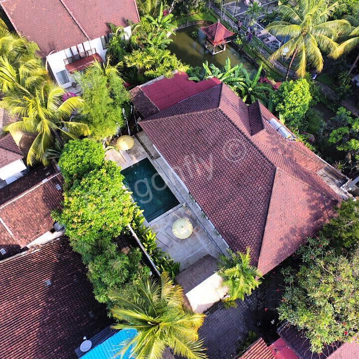 Hotel The Royal Palm