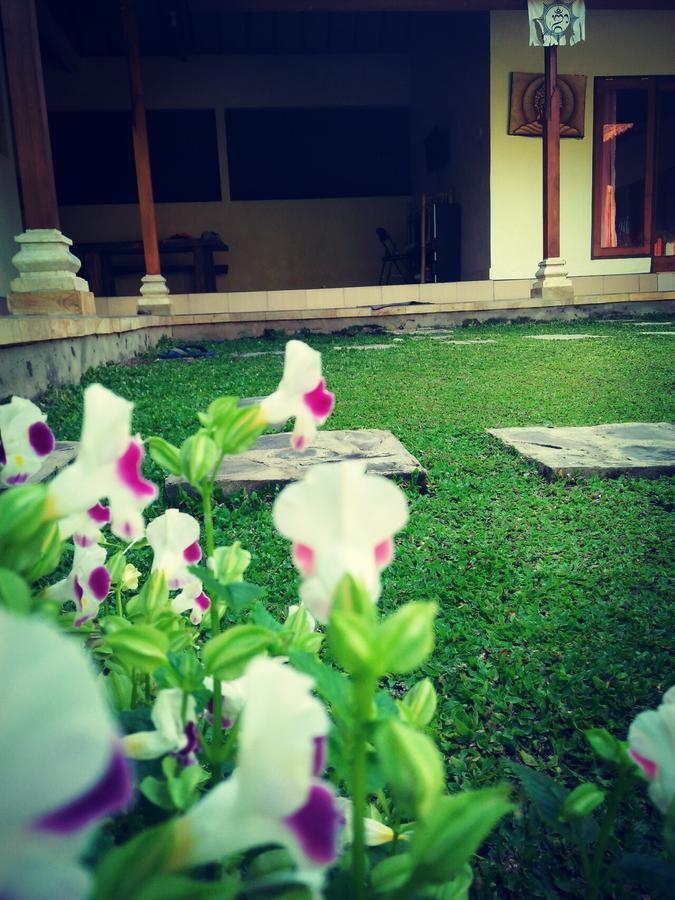 Bed & Breakfast Memes House Backpacker 2*