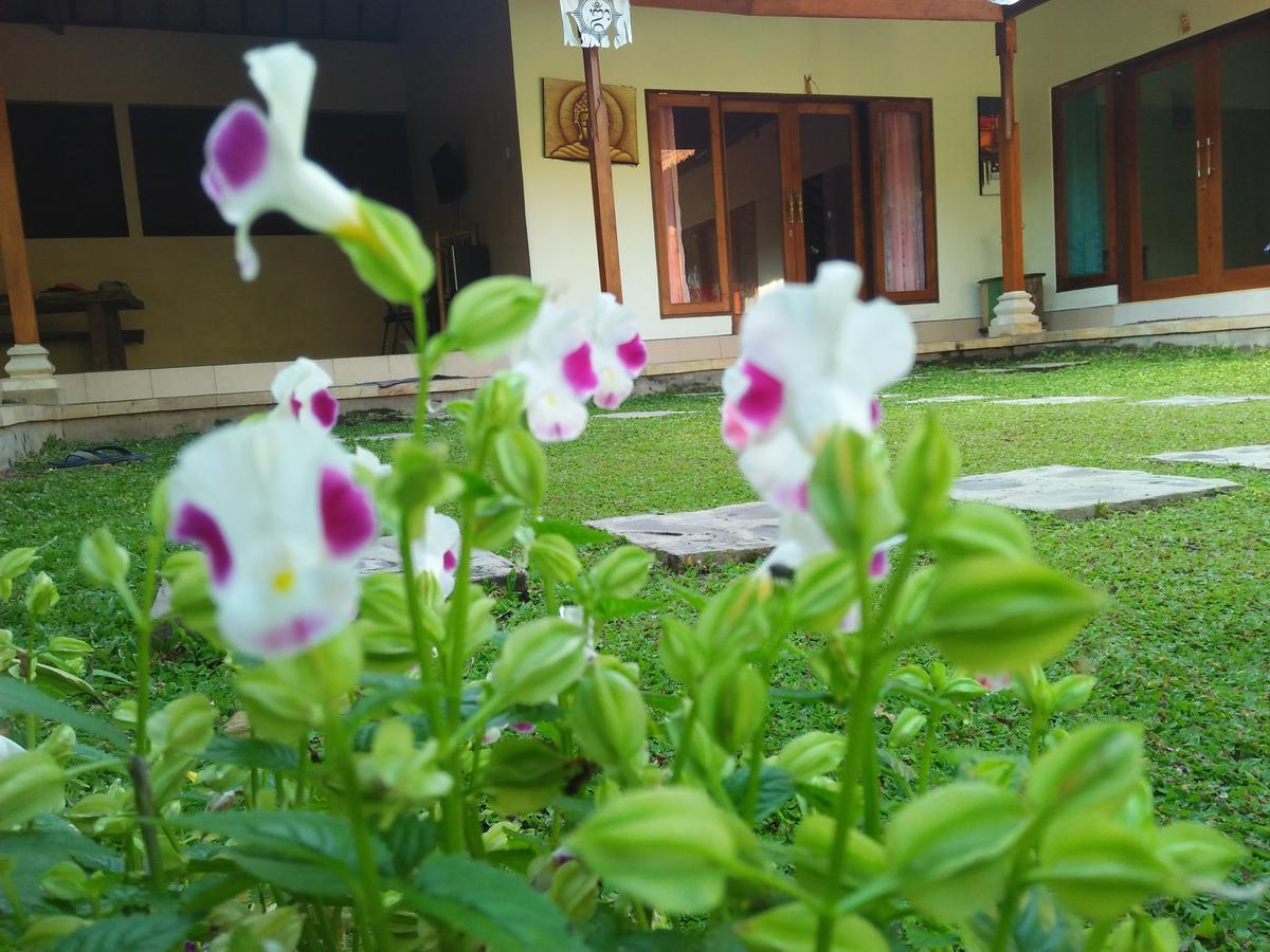 Memes House Backpacker 2*