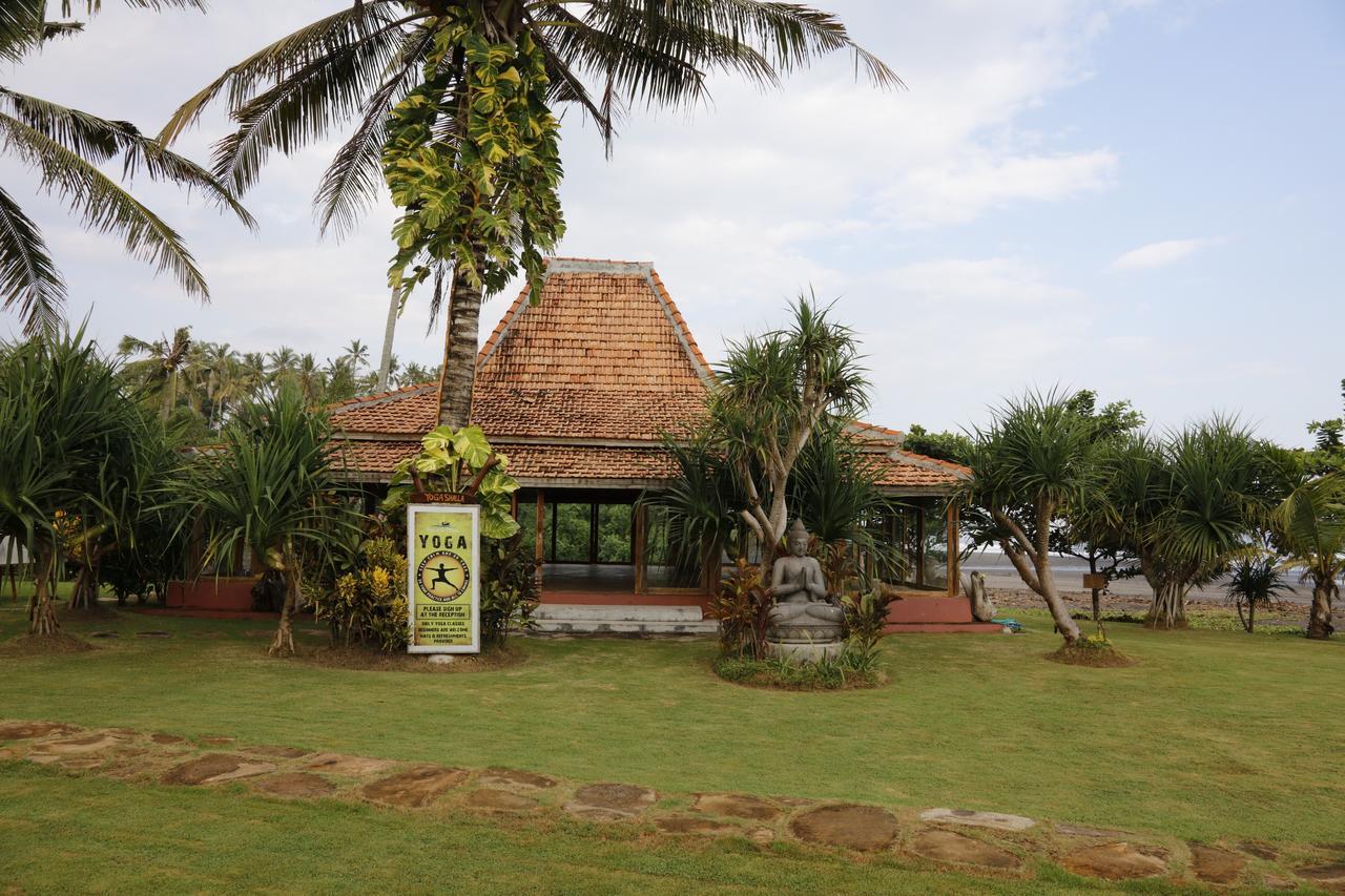 Holiday park Pitaya Balian 4*