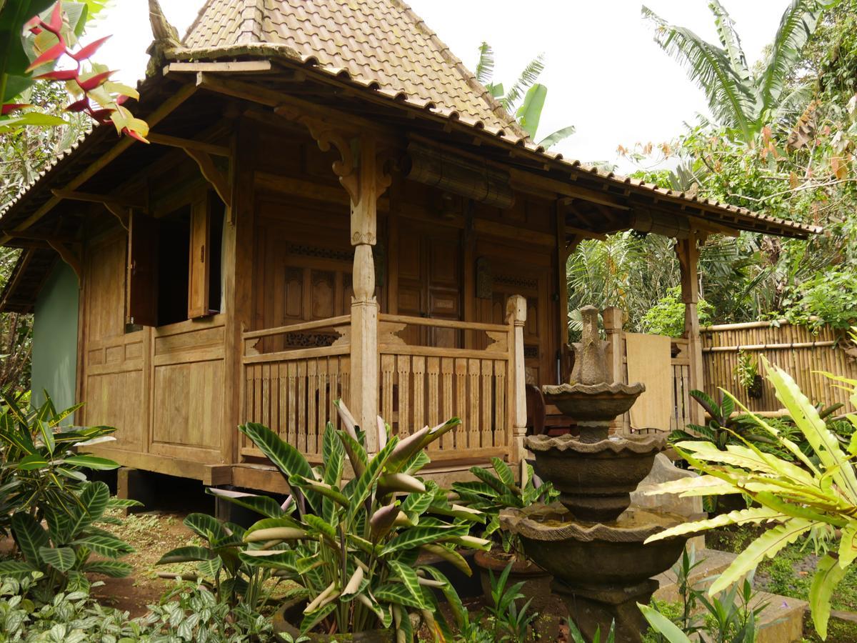 Bali Mountain Retreat Lodge Selemadeg (Bali)