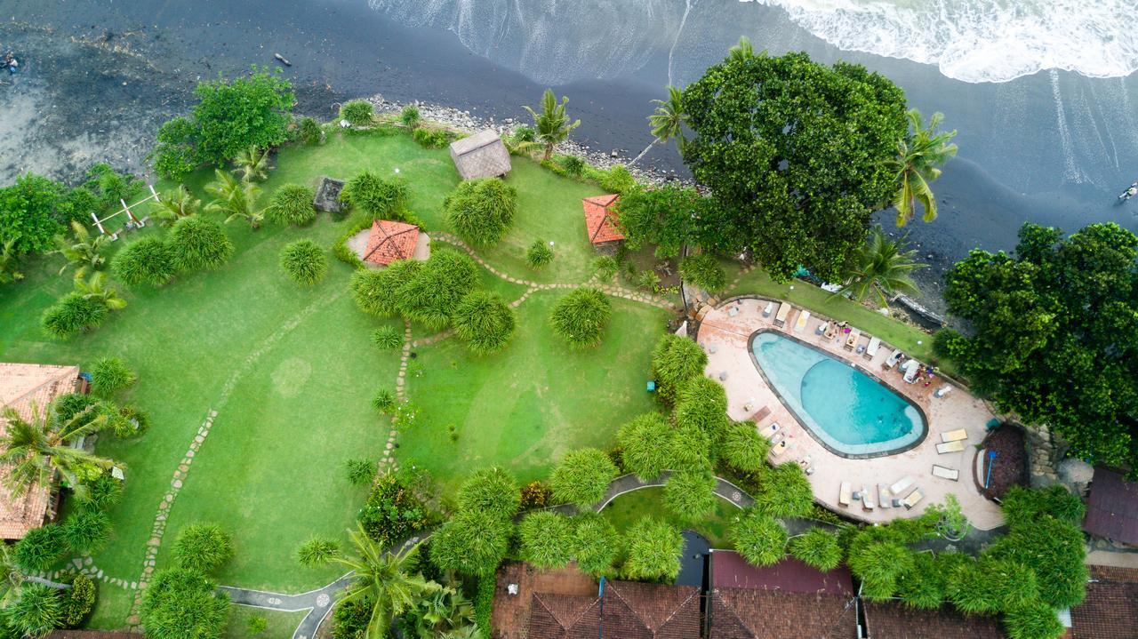 Pitaya Balian Selemadeg (Bali)