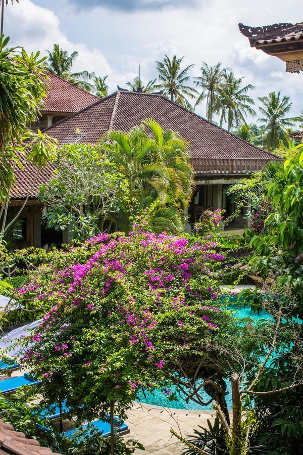 Vision Resort 4*