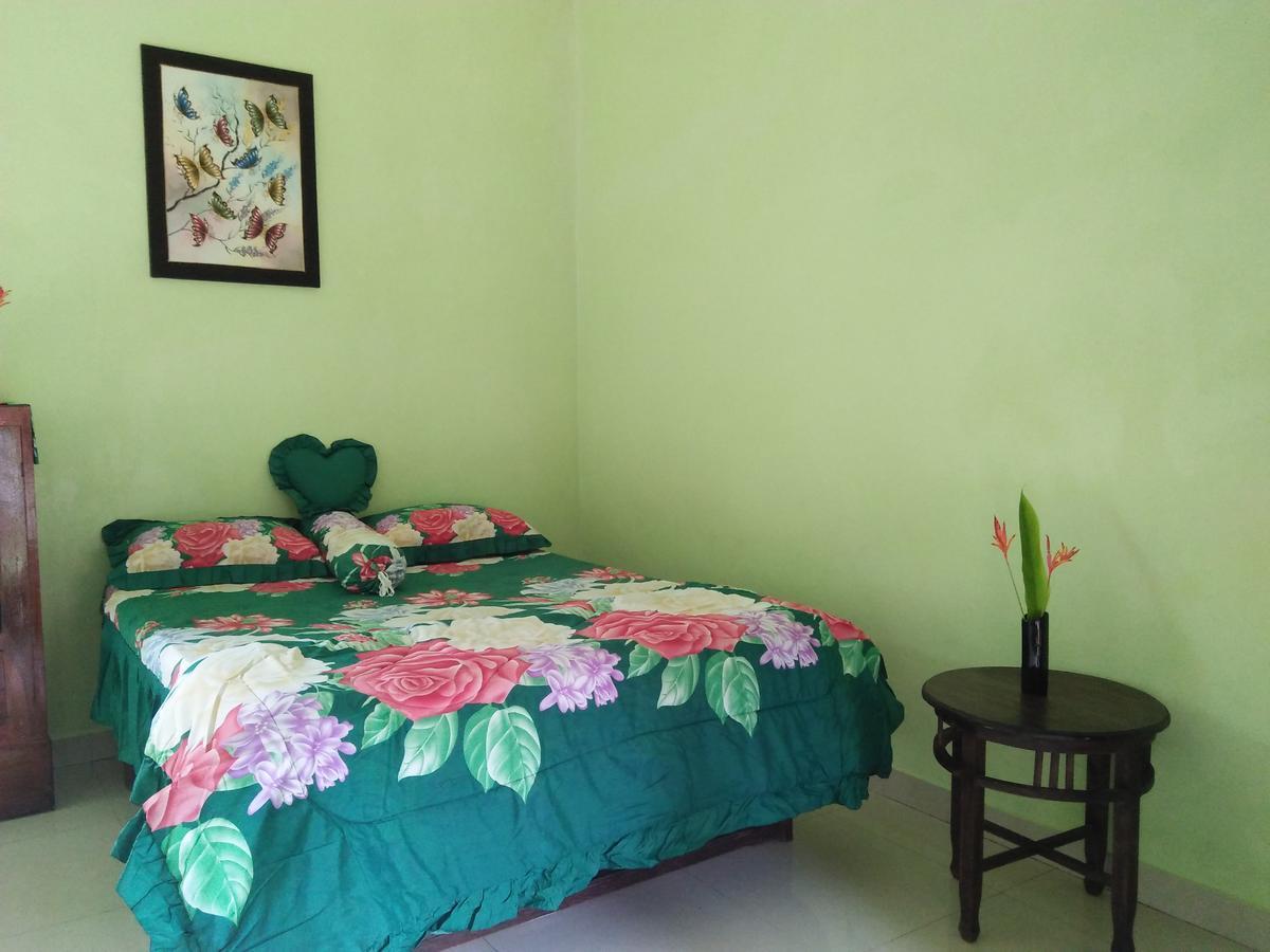 Bed & Breakfast Memes House Backpacker Buleleng (Bali)