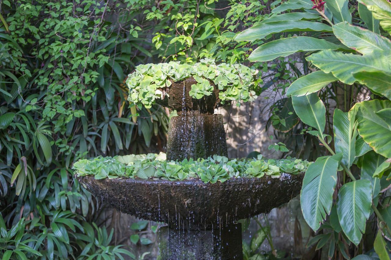 Villa Tangra Villa *