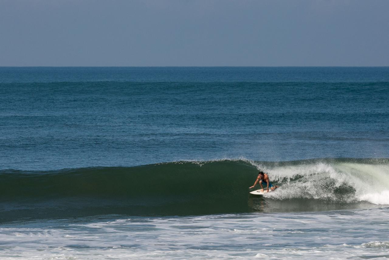 Pitaya Balian Selemadeg (Bali)