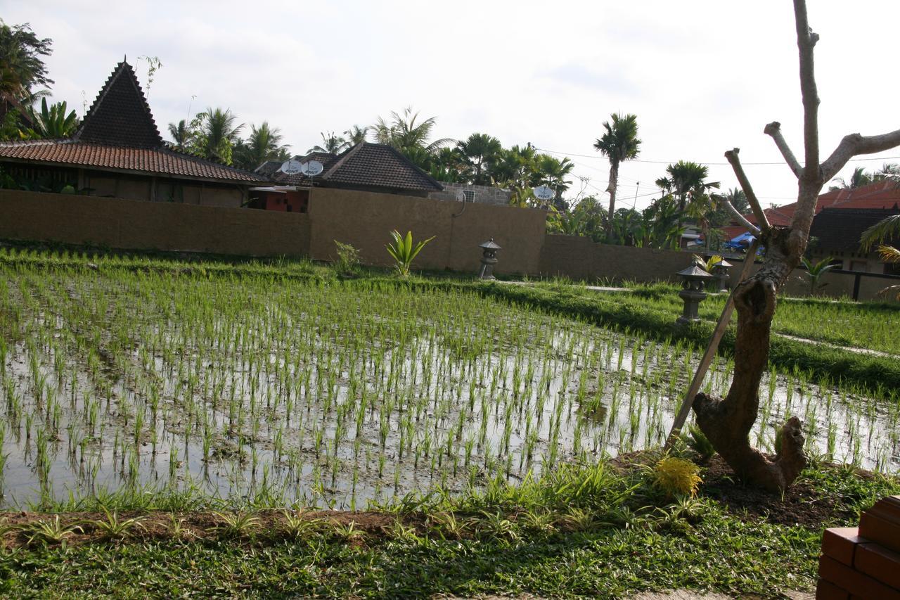 Mesari 4* Ubud (Bali)