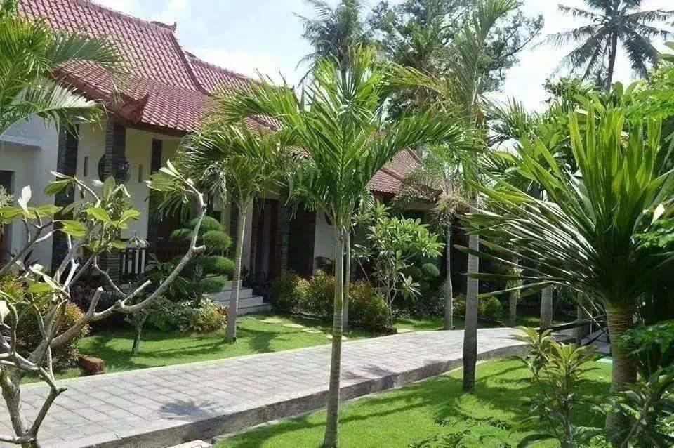 Canggu Bali 3*