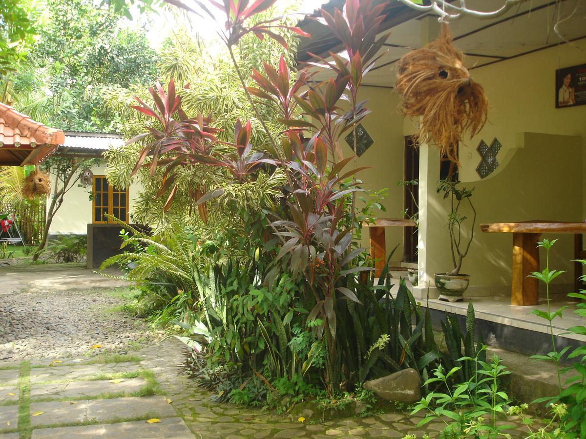 Sedap Malam Inn Lovina (Bali)