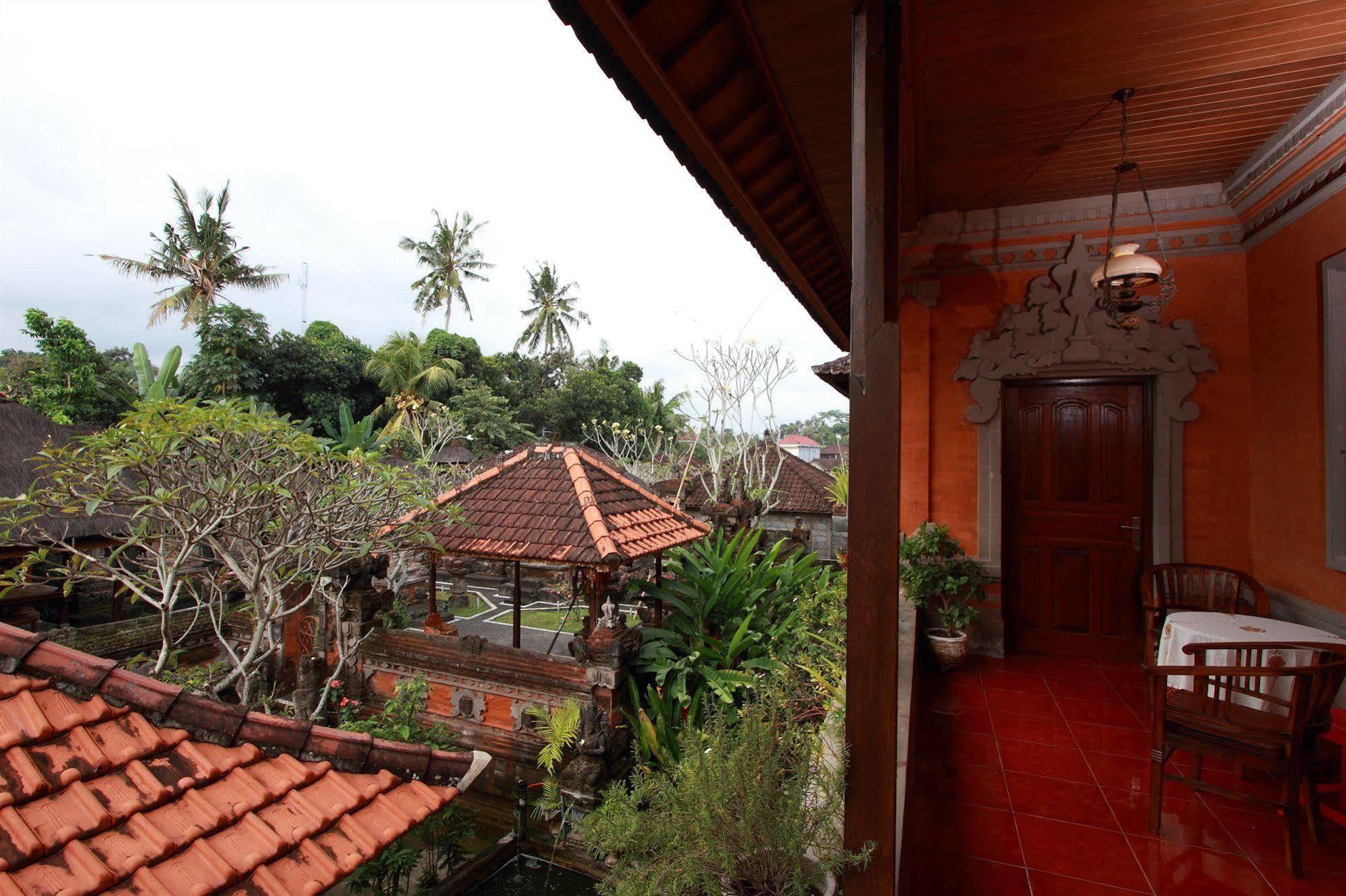 Citrus Tree - Hutama *