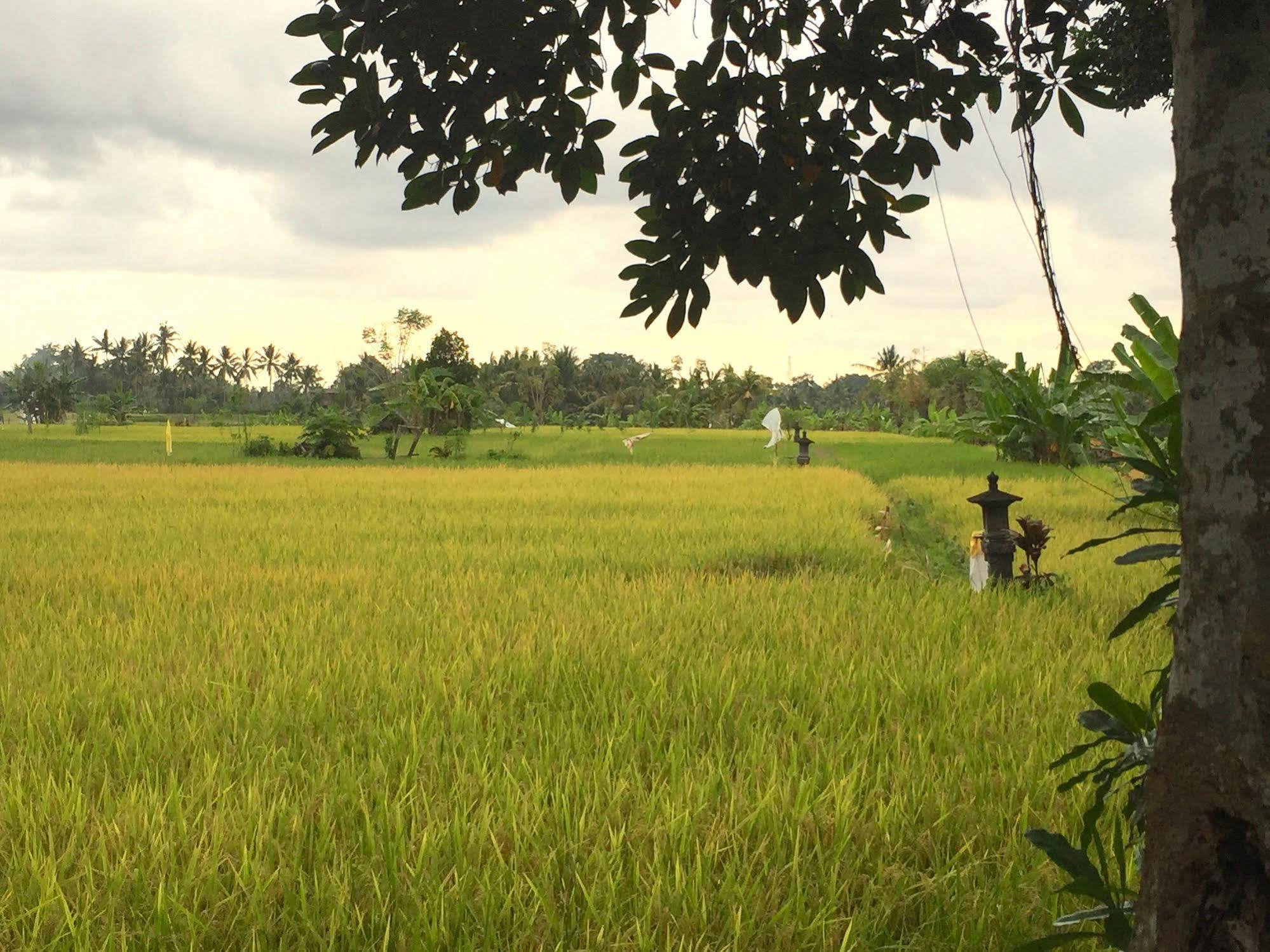 Hotel Suly Garden Villa Ubud