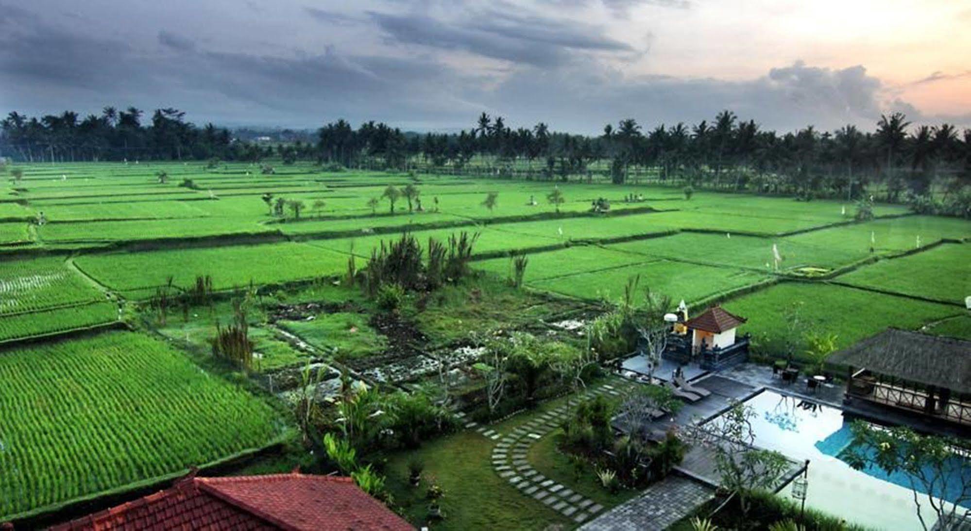 Suly Garden Villa Ubud 3* Ubud (Bali)