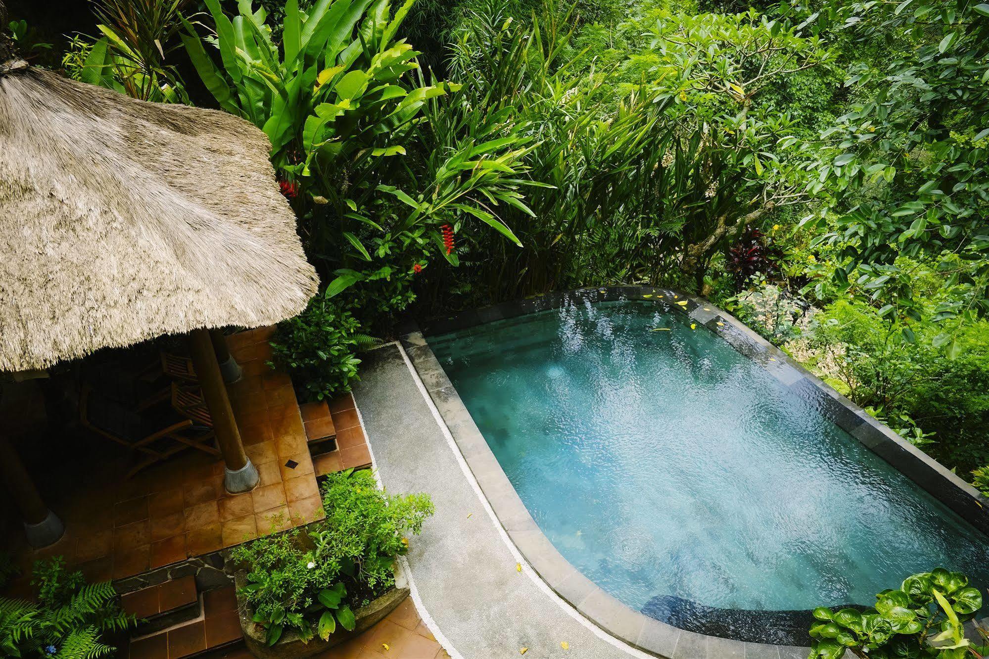 Awang Awang Ubud (Bali)