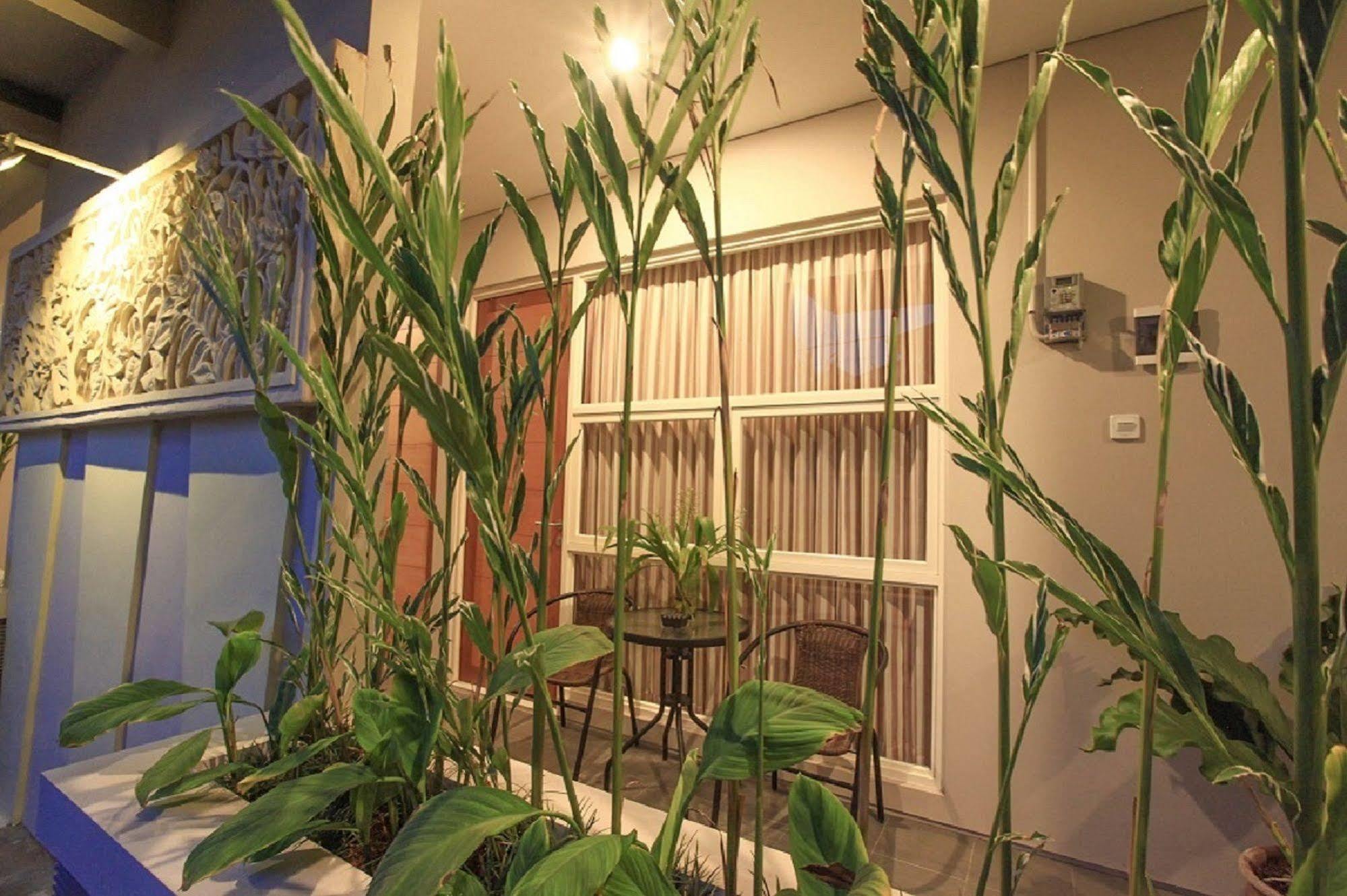 Aparthotel Bali True Living 2*