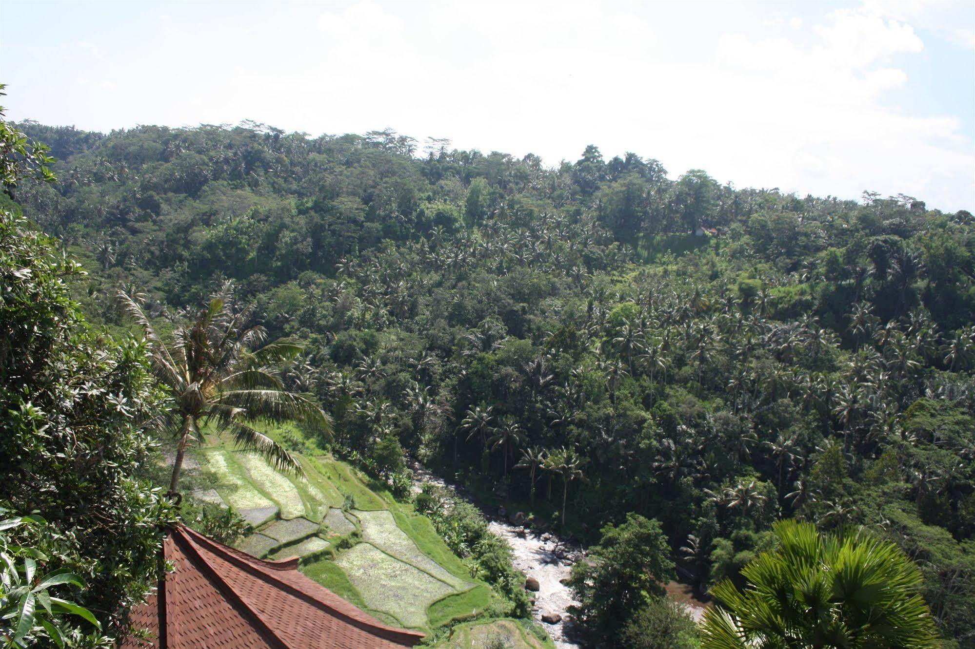 Resort Kupu Kupu Barong And Tree By L'occitane Ubud (Bali)