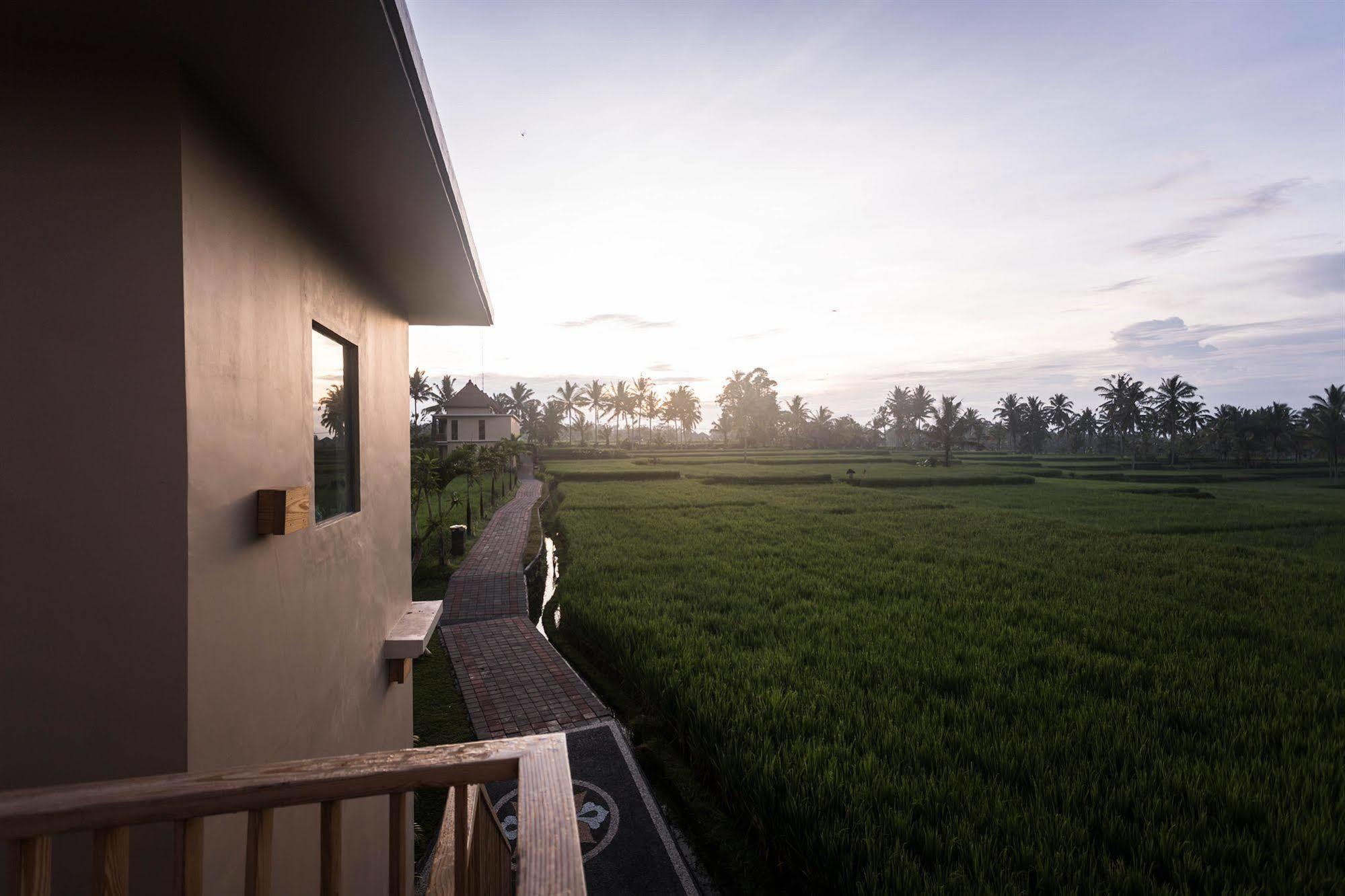 Manyi Village Ubud (Bali)
