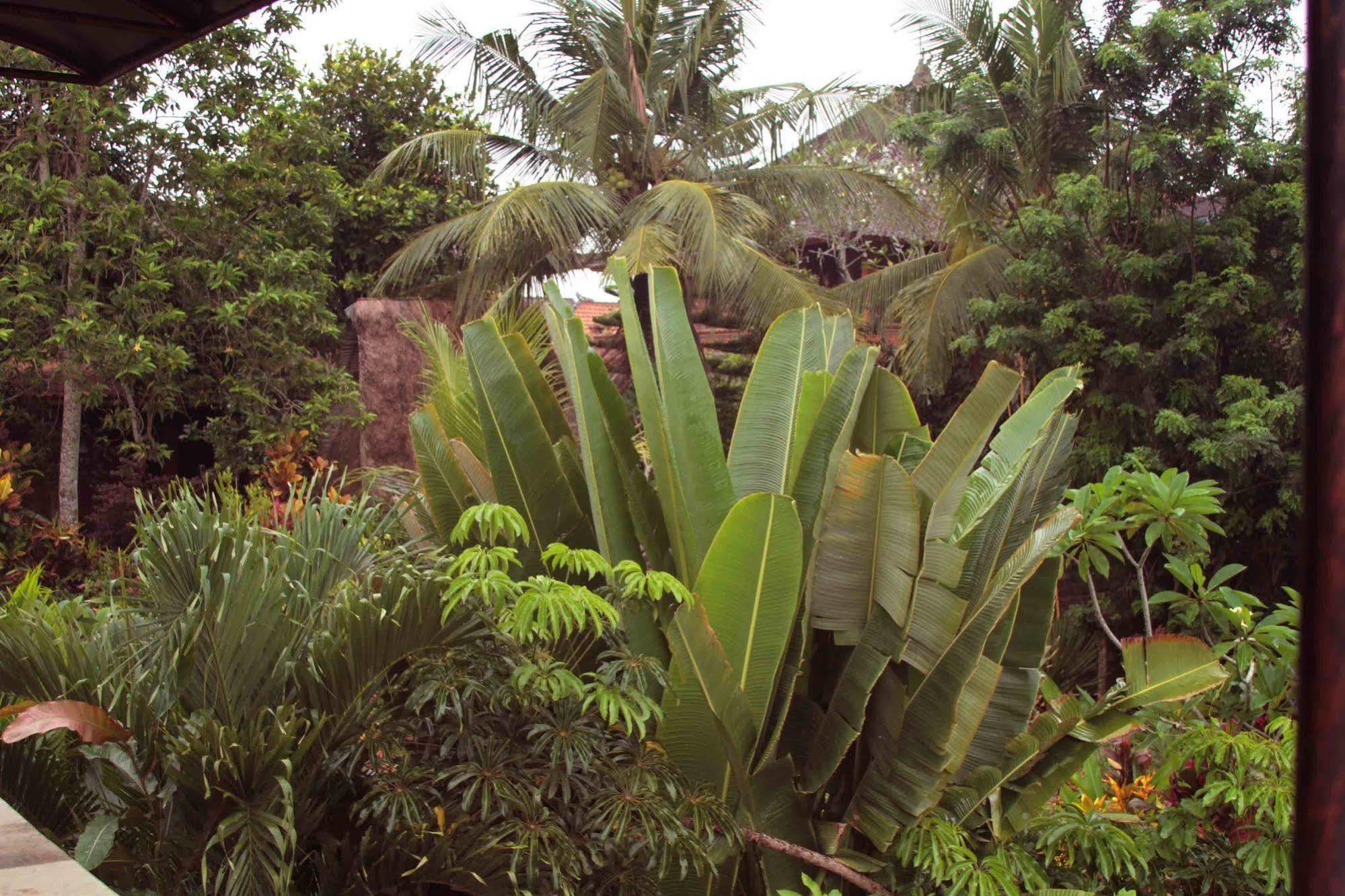 Garden View Hotel Ubud (Bali)