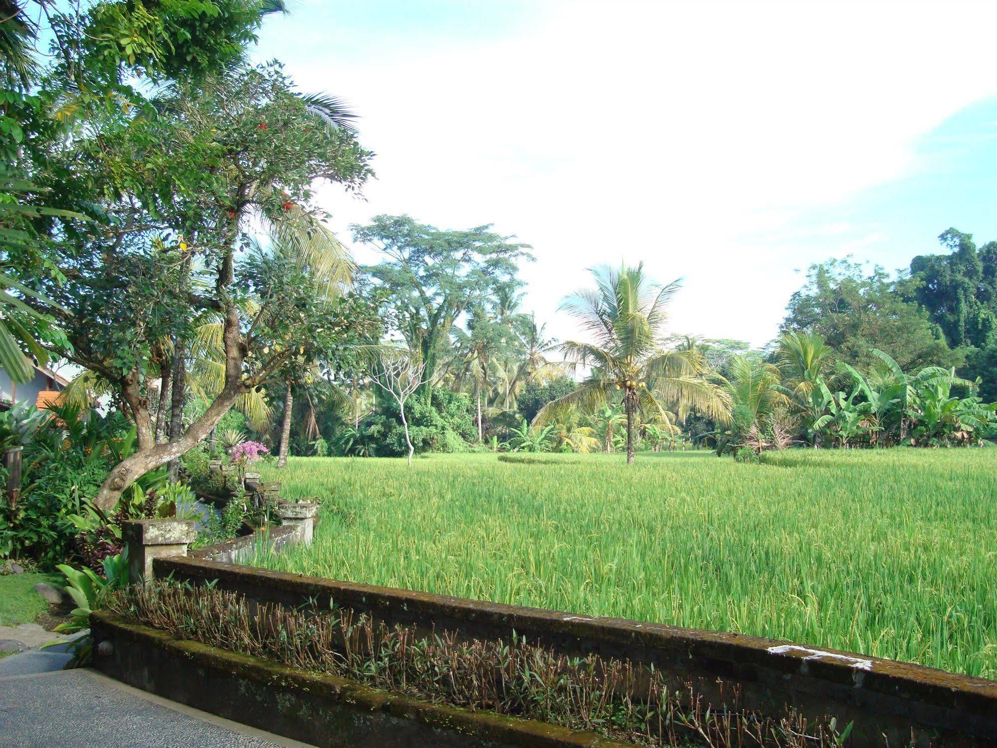 Anini Raka & Resort 4*