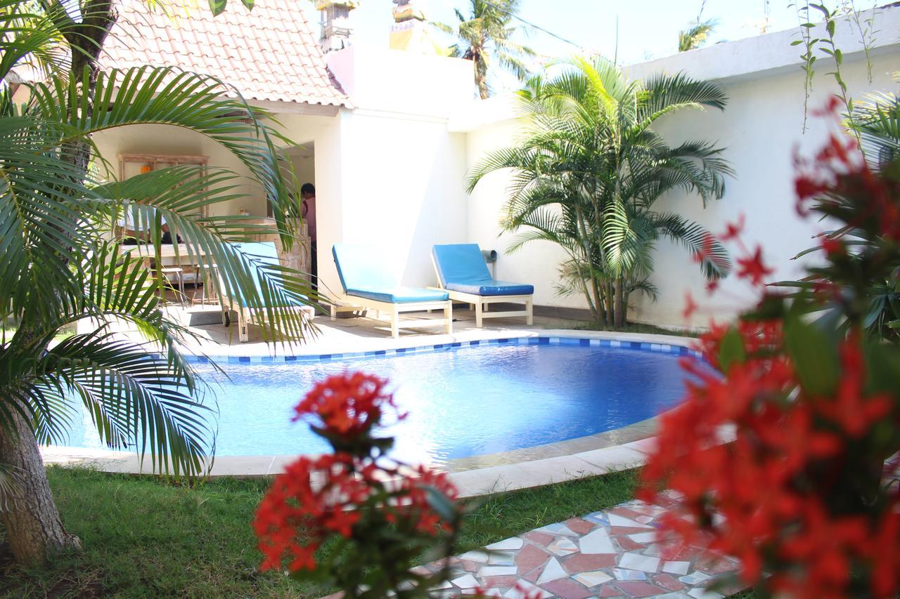 Mango 5 Amed (Bali)