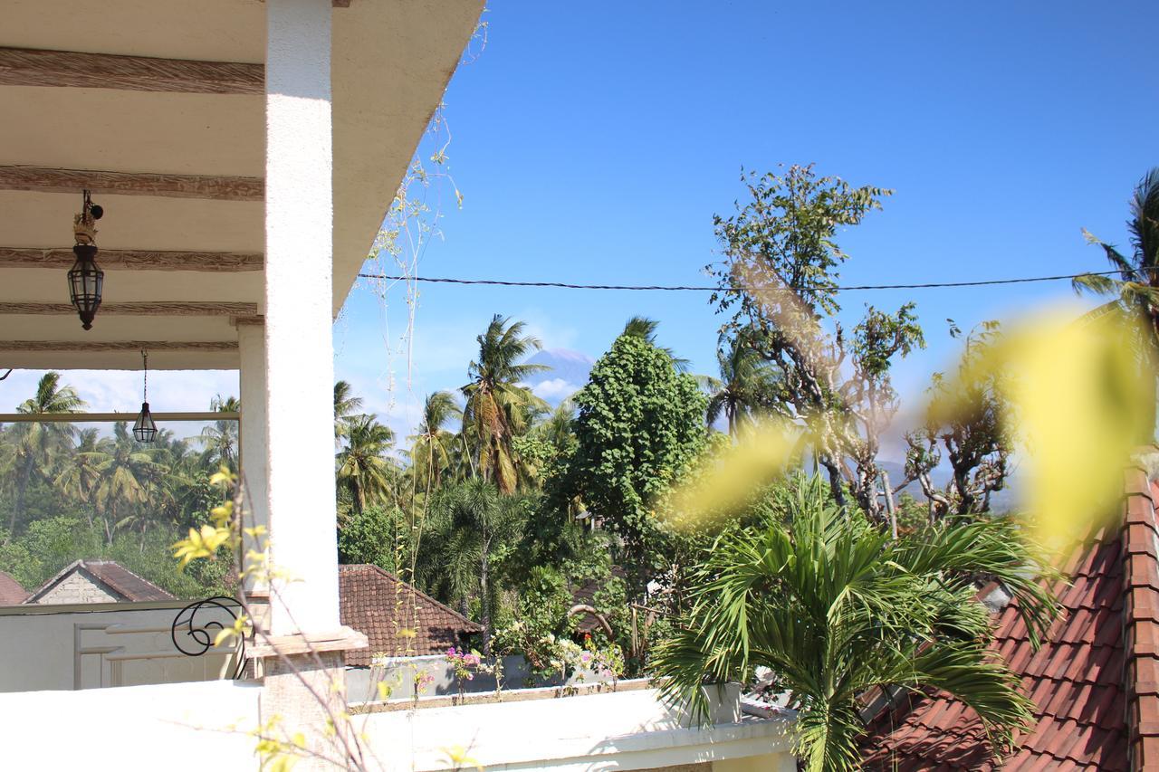 Hotel Mango 5