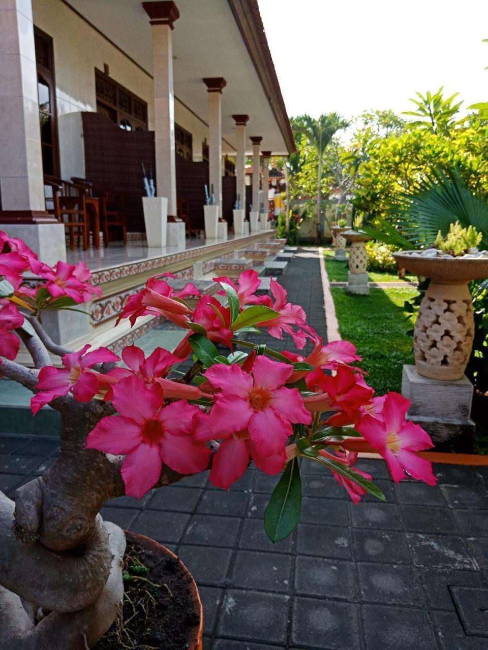 Tempat Tidur & Sarapan Frangipani Nusa Dua (Bali)