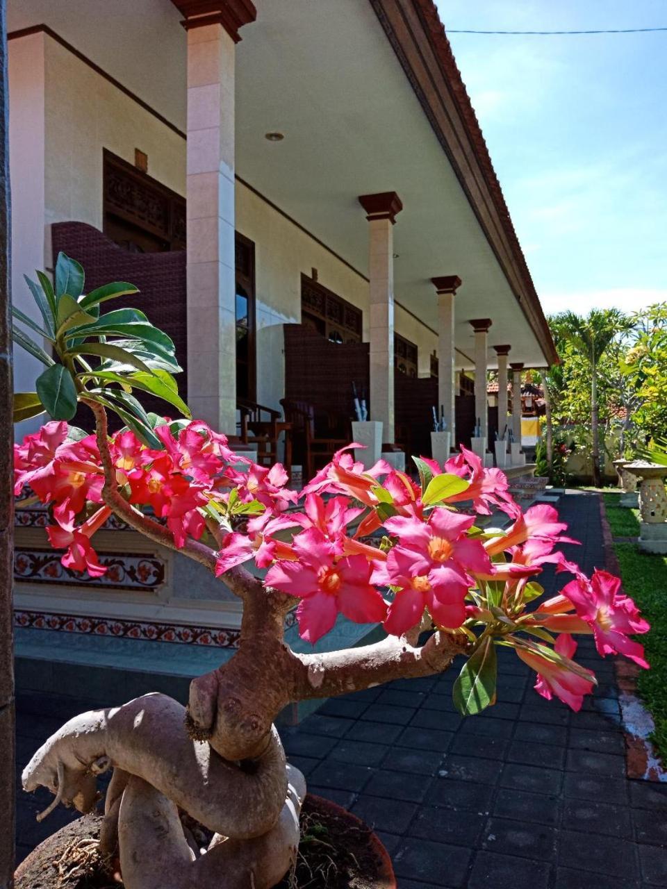 Frangipani 2*