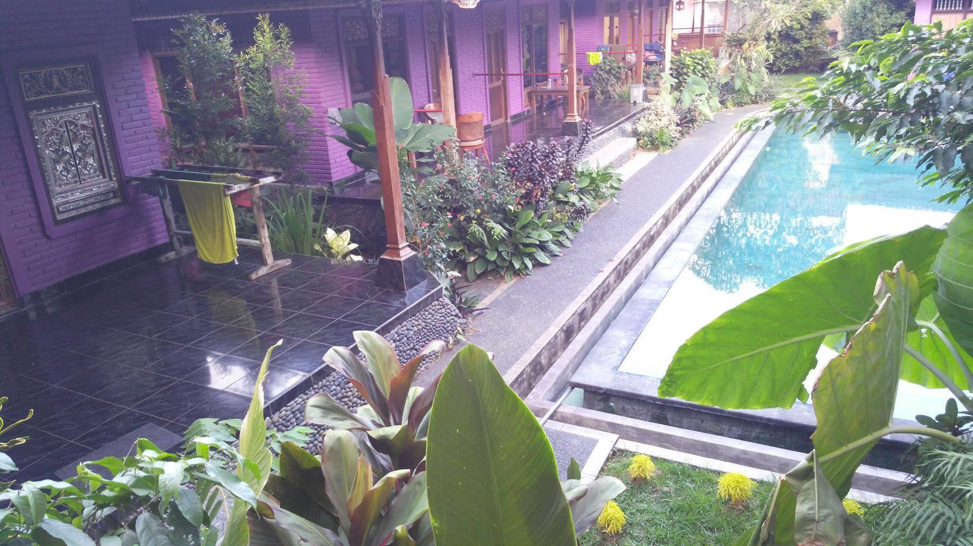 Rona Guest house Ubud (Bali)